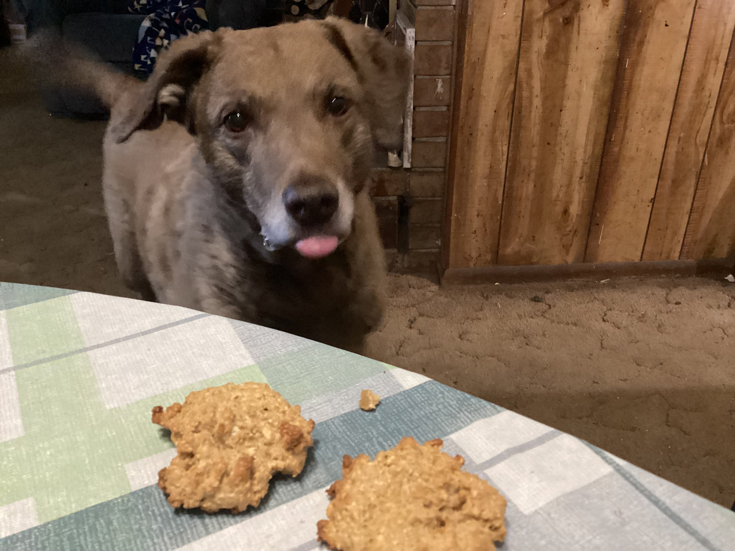 Peanut Butter dog cookies