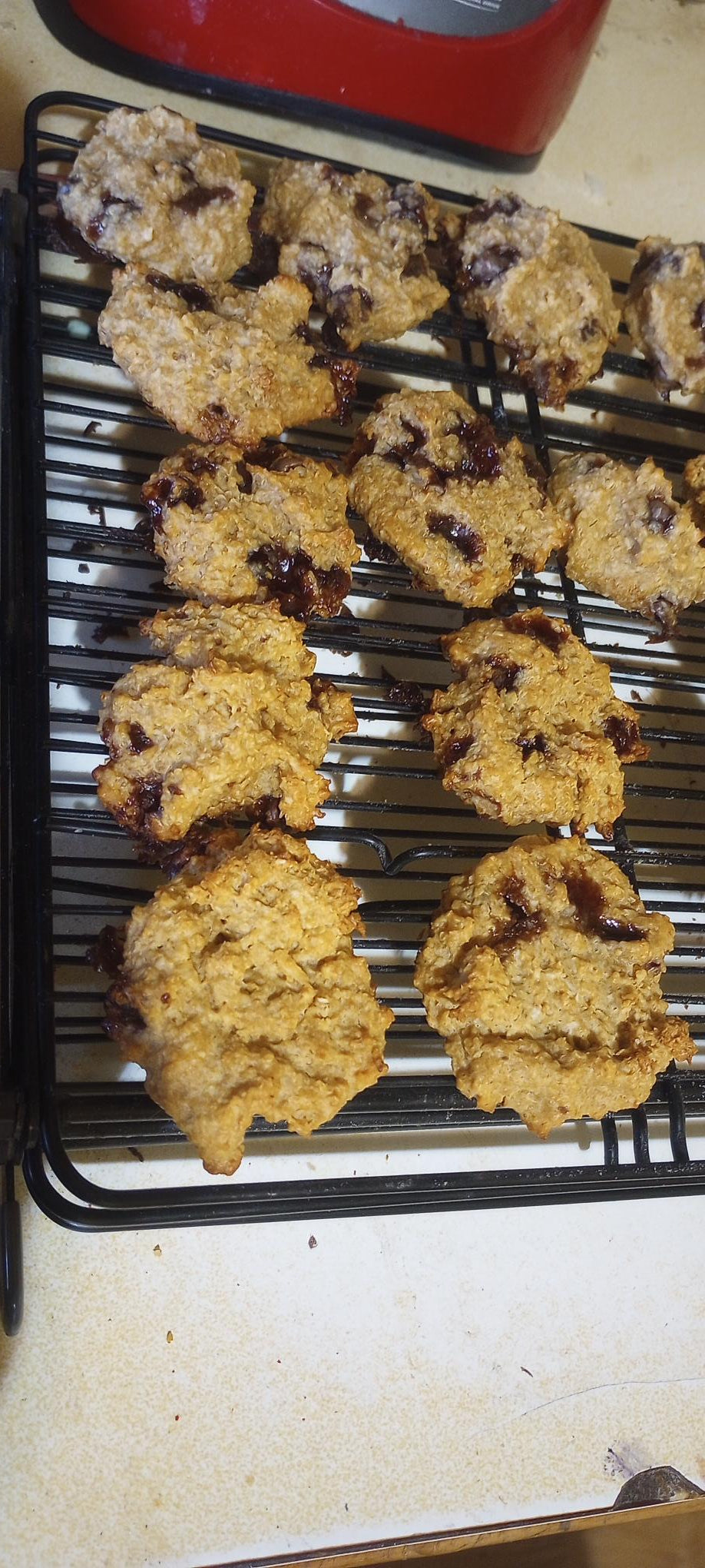 Carob Chip dog cookies